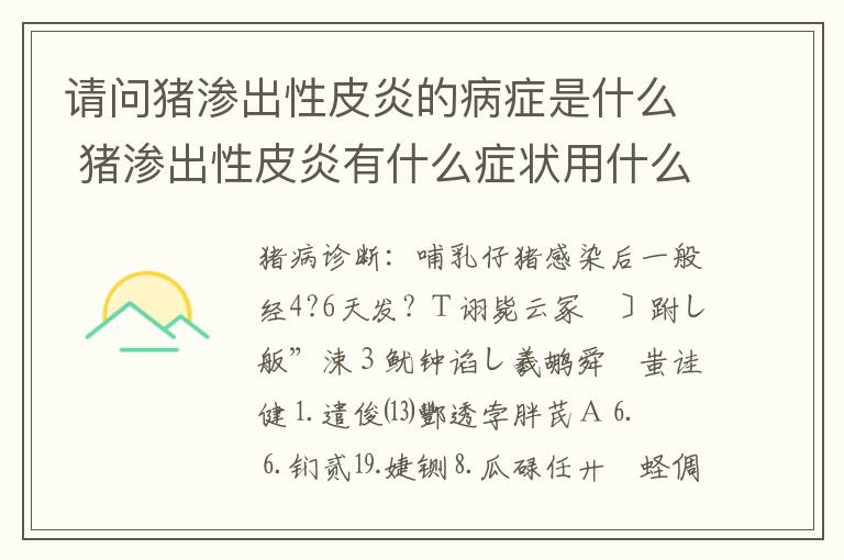 请问猪渗出性皮炎的病症是什么 猪渗出性皮炎有什么症状用什么药治疗