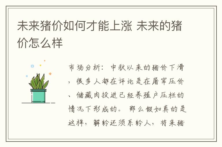 未来猪价如何才能上涨 未来的猪价怎么样