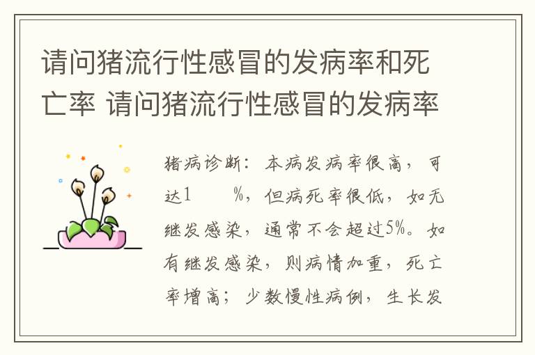 请问猪流行性感冒的发病率和死亡率 请问猪流行性感冒的发病率和死亡率是多少