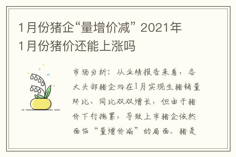 1月份猪企“量增价减” 2021年1月份猪价还能上涨吗
