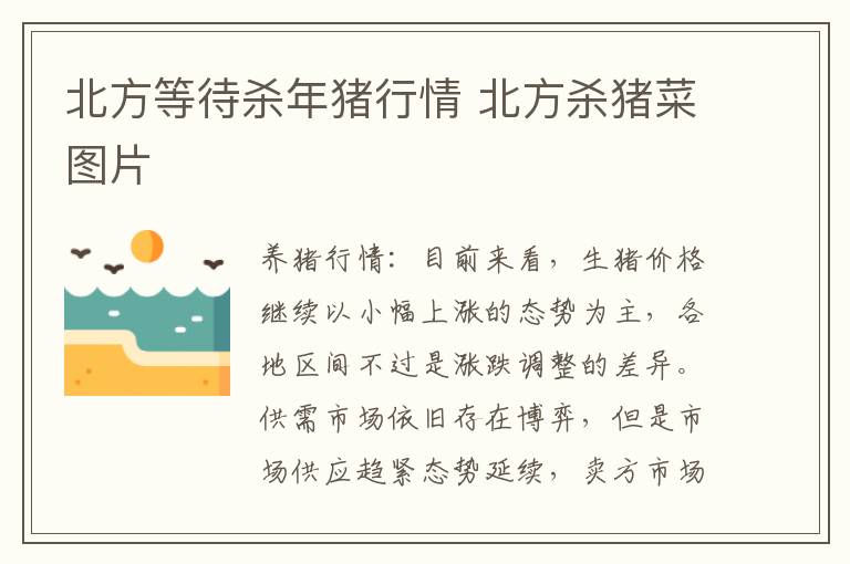 北方等待杀年猪行情 北方杀猪菜图片