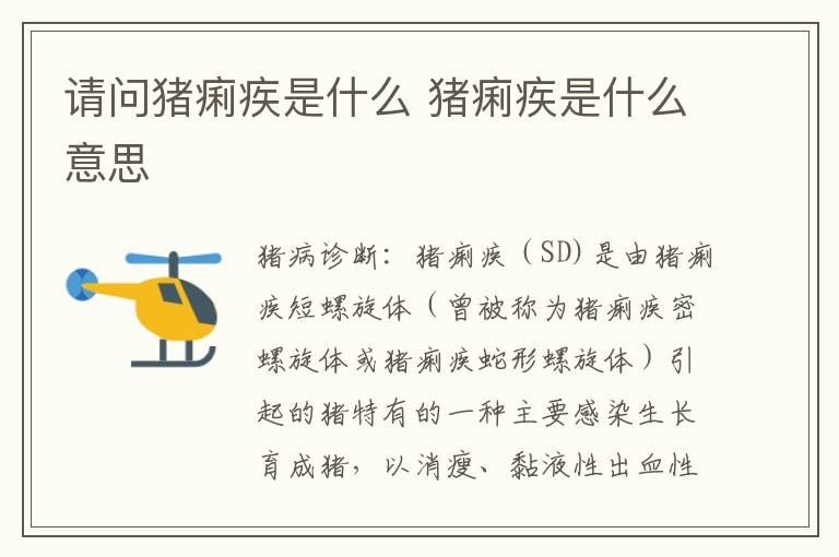 请问猪痢疾是什么 猪痢疾是什么意思