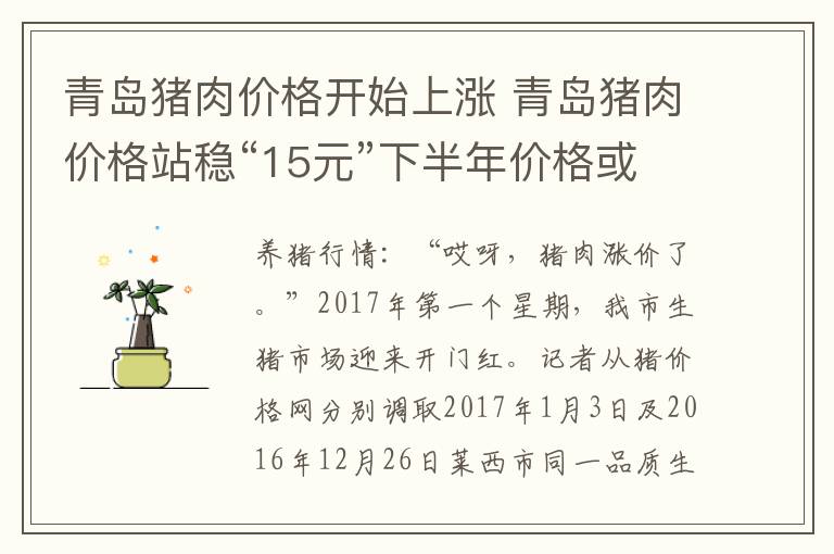 青岛猪肉价格开始上涨 青岛猪肉价格站稳“15元”下半年价格或小幅反弹