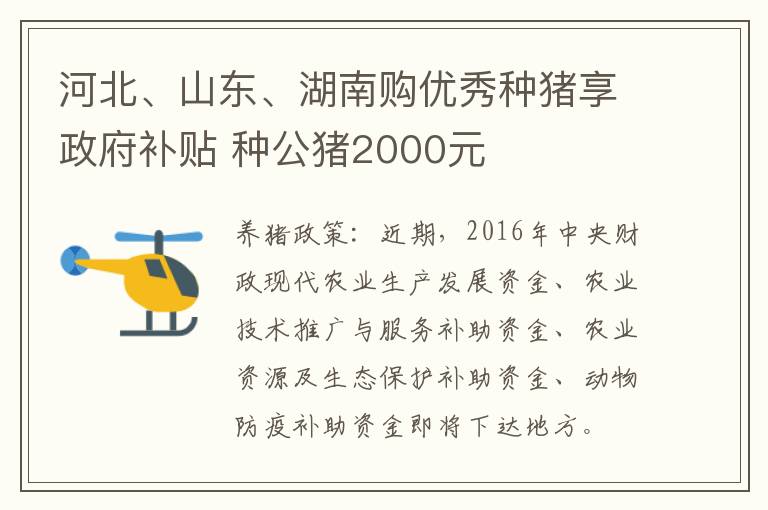 河北、山东、湖南购优秀种猪享政府补贴 种公猪2000元