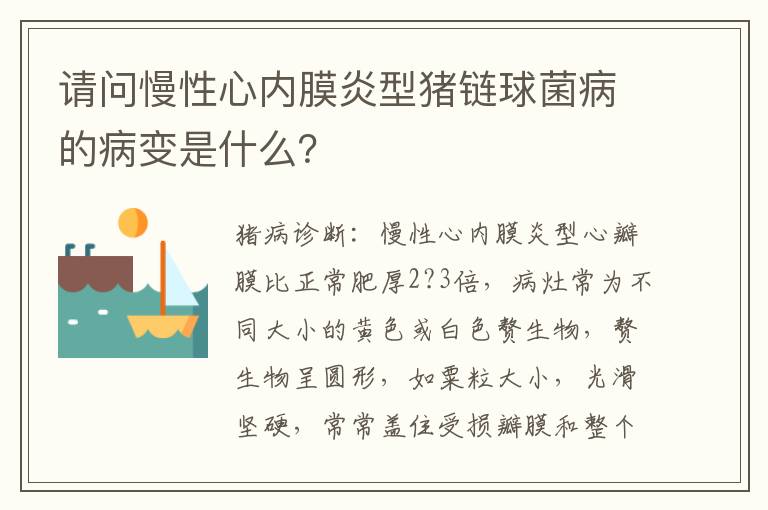 请问慢性心内膜炎型猪链球菌病的病变是什么？