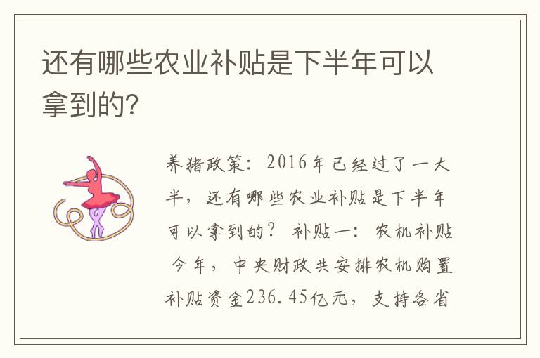 还有哪些农业补贴是下半年可以拿到的？
