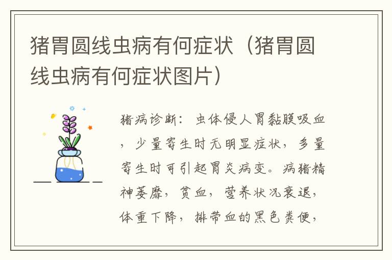 猪胃圆线虫病有何症状（猪胃圆线虫病有何症状图片）