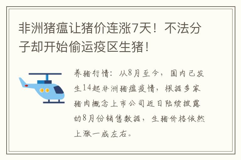 非洲猪瘟让猪价连涨7天！不法分子却开始偷运疫区生猪！