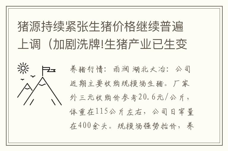 猪源持续紧张生猪价格继续普遍上调（加剧洗牌!生猪产业已生变!猪价跌到“底”了吗?）