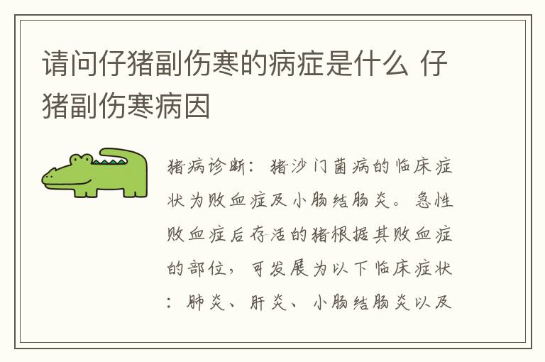 请问仔猪副伤寒的病症是什么 仔猪副伤寒病因