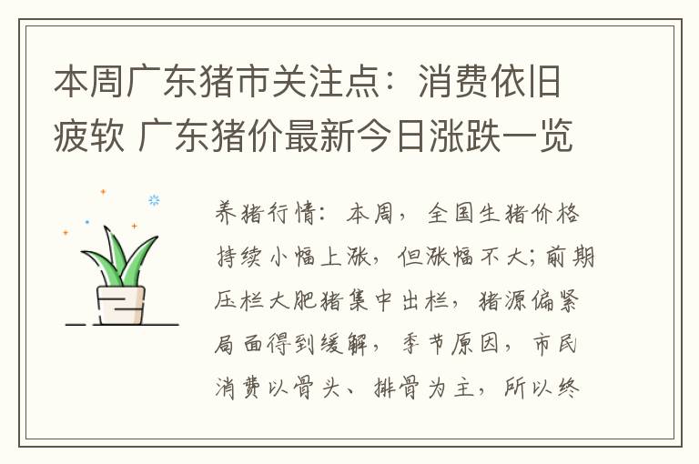 本周广东猪市关注点:消费依旧疲软 广东猪价最新今日涨跌一览表
