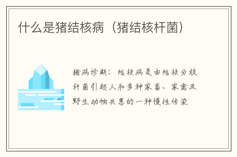 什么是猪结核病（猪结核杆菌）