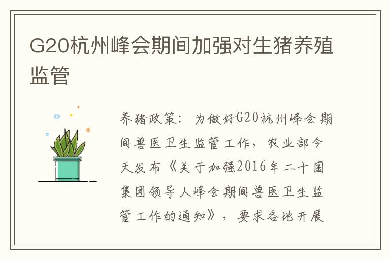 G20杭州峰会期间加强对生猪养殖监管