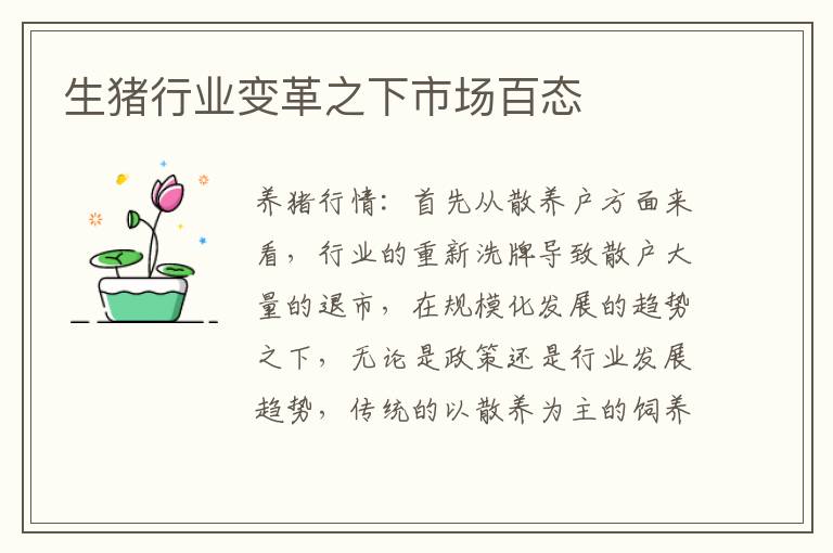 生猪行业变革之下市场百态