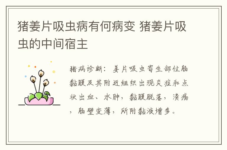 猪姜片吸虫病有何病变 猪姜片吸虫的中间宿主