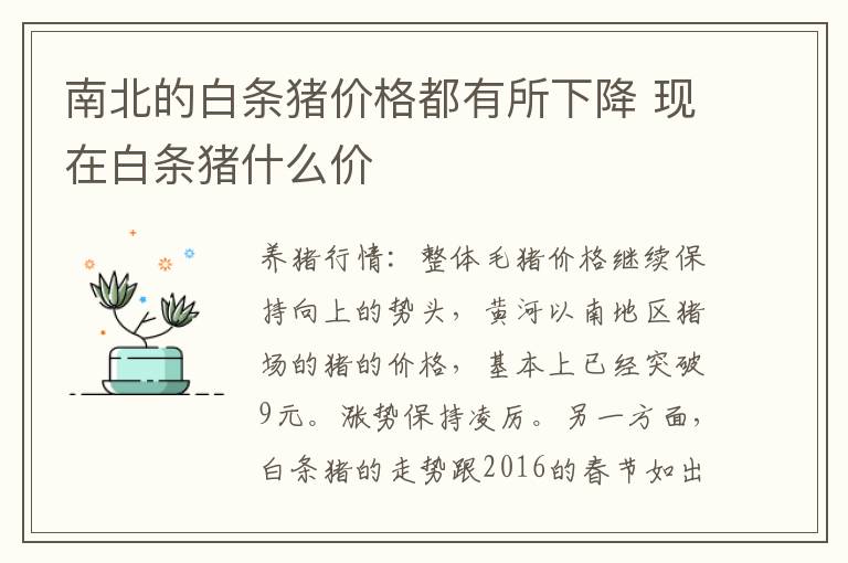 南北的白条猪价格都有所下降 现在白条猪什么价