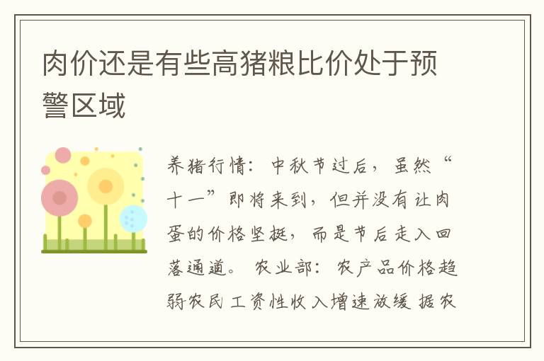 肉价还是有些高猪粮比价处于预警区域