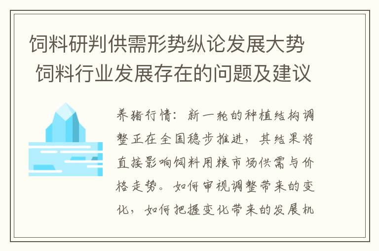 饲料研判供需形势纵论发展大势 饲料行业发展存在的问题及建议