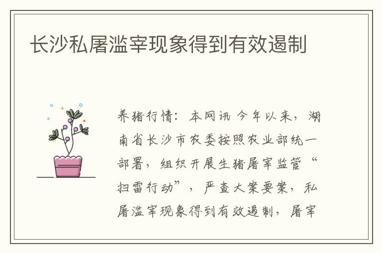 长沙私屠滥宰现象得到有效遏制