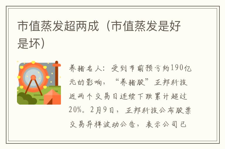市值蒸发超两成（市值蒸发是好是坏）