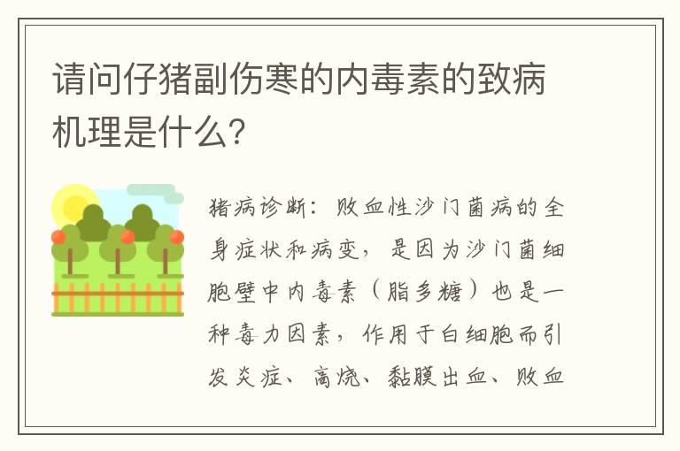 请问仔猪副伤寒的内毒素的致病机理是什么？