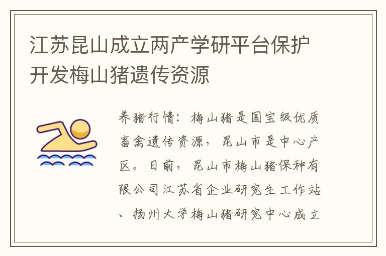 江苏昆山成立两产学研平台保护开发梅山猪遗传资源