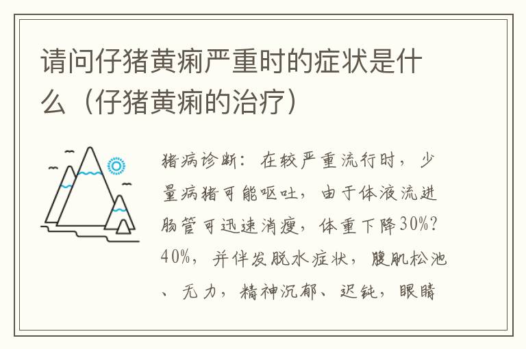 请问仔猪黄痢严重时的症状是什么（仔猪黄痢的治疗）
