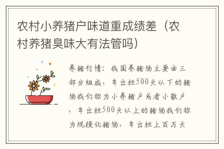 农村小养猪户味道重成绩差(农村养猪臭味大有法管吗)