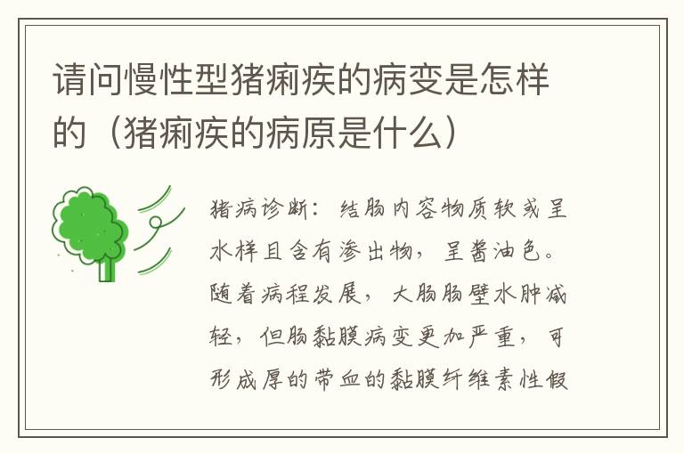 请问慢性型猪痢疾的病变是怎样的（猪痢疾的病原是什么）