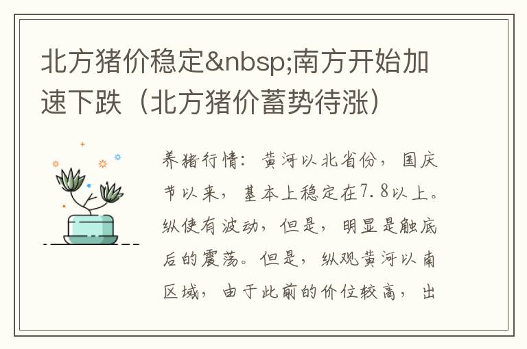 北方猪价稳定 南方开始加速下跌(北方猪价蓄势待涨)