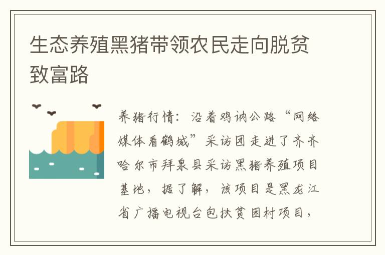 生态养殖黑猪带领农民走向脱贫致富路