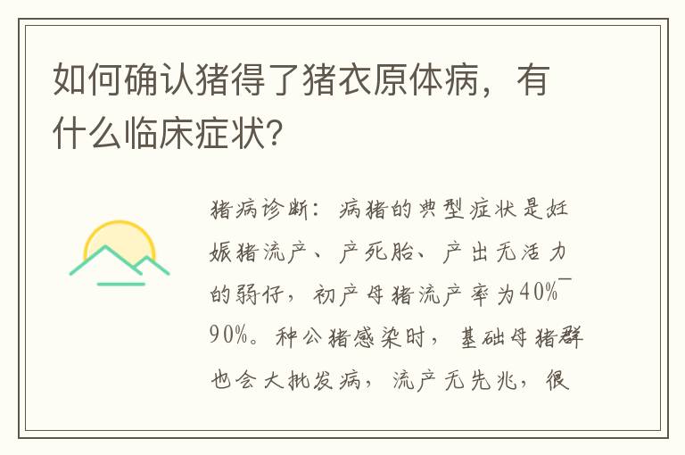 如何确认猪得了猪衣原体病，有什么临床症状？
