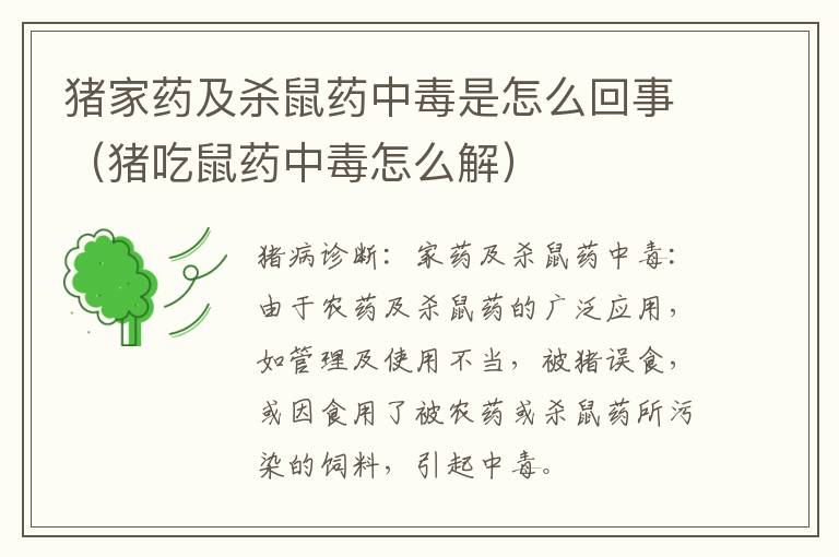 猪家药及杀鼠药中毒是怎么回事（猪吃鼠药中毒怎么解）