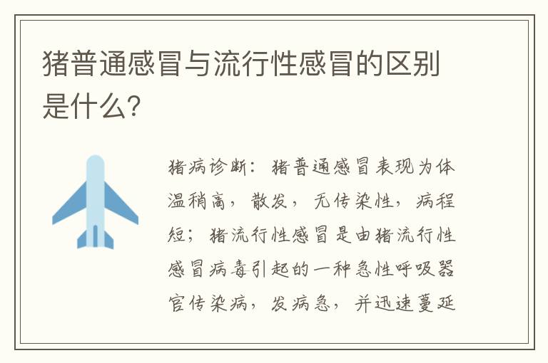 猪普通感冒与流行性感冒的区别是什么？