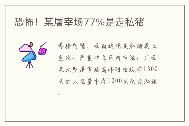 恐怖！某屠宰场77%是走私猪