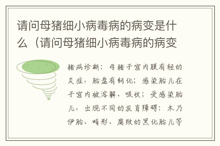 请问母猪细小病毒病的病变是什么（请问母猪细小病毒病的病变是什么意思）
