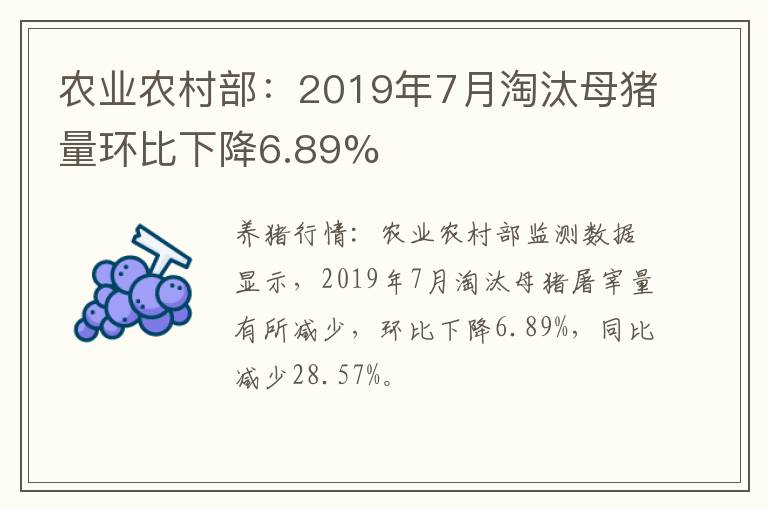 农业农村部：2019年7月淘汰母猪量环比下降6.89%
