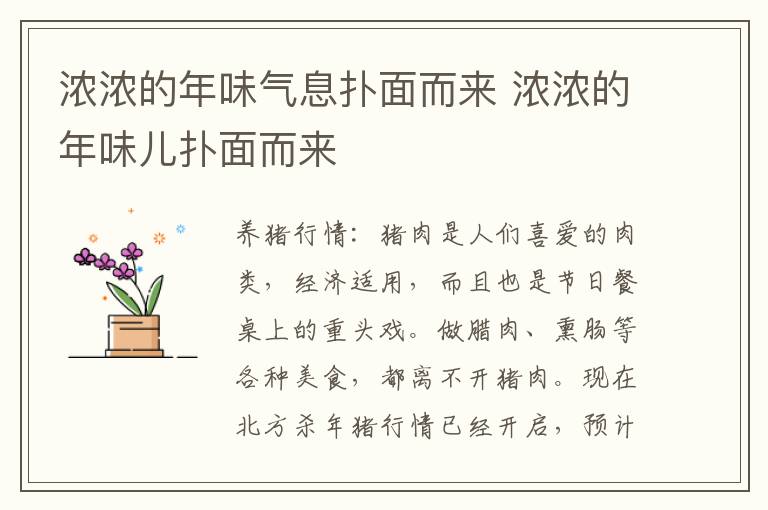 浓浓的年味气息扑面而来 浓浓的年味儿扑面而来