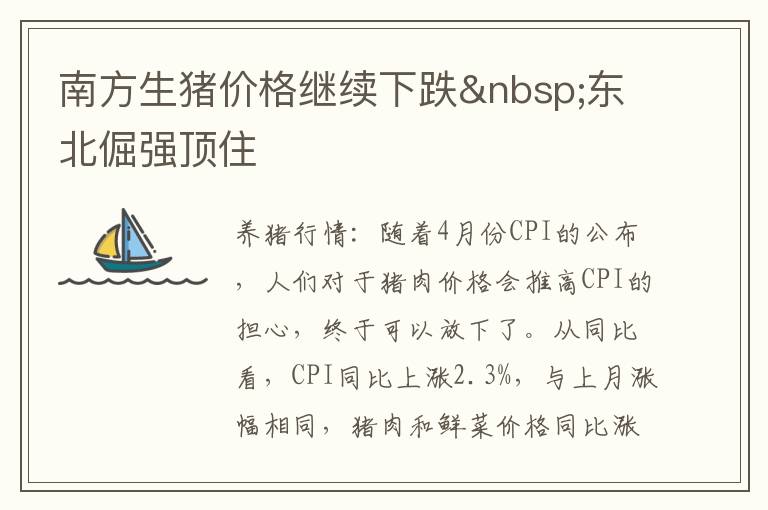 南方生猪价格继续下跌&nbsp;东北倔强顶住