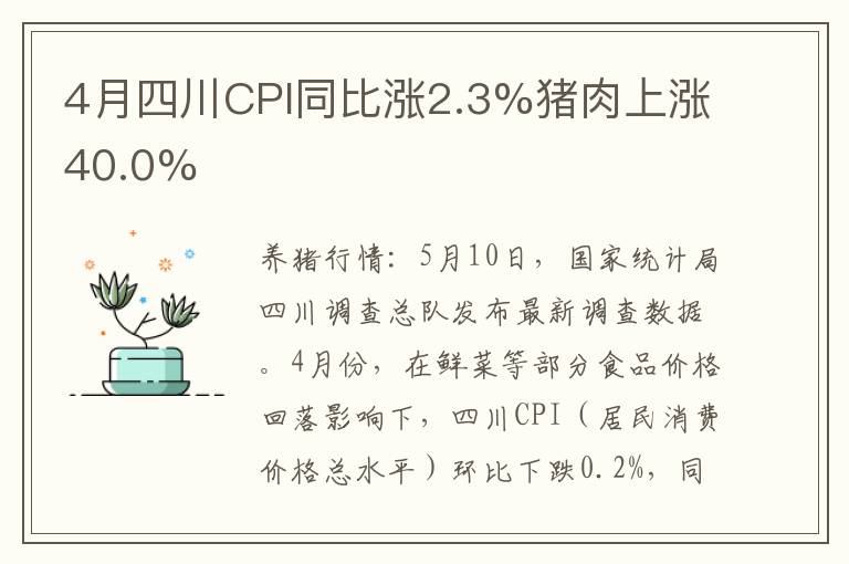4月四川CPI同比涨2.3%猪肉上涨40.0%