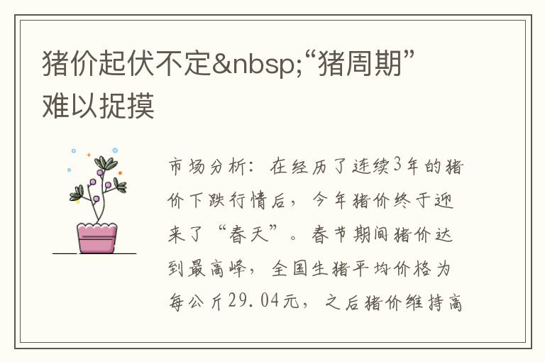 猪价起伏不定&nbsp;“猪周期”难以捉摸