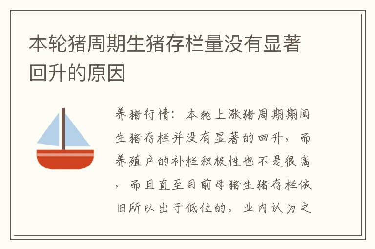 本轮猪周期生猪存栏量没有显著回升的原因