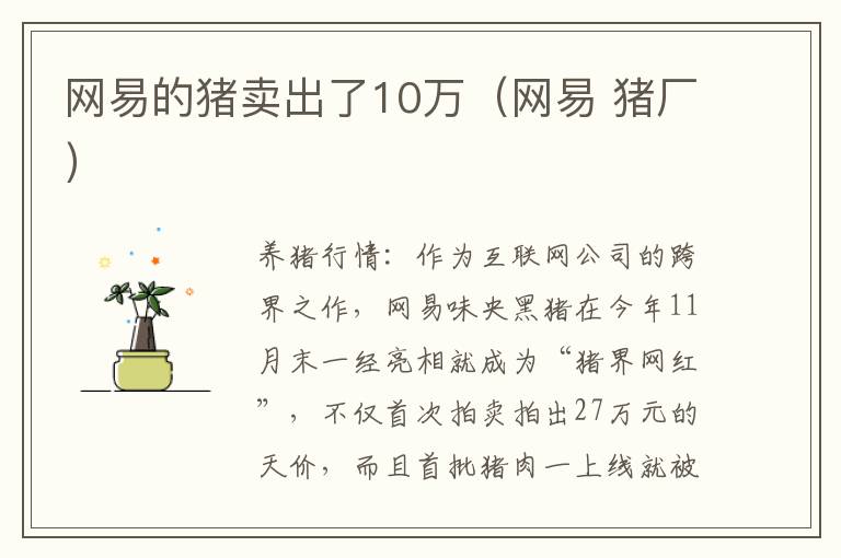 网易的猪卖出了10万（网易 猪厂）
