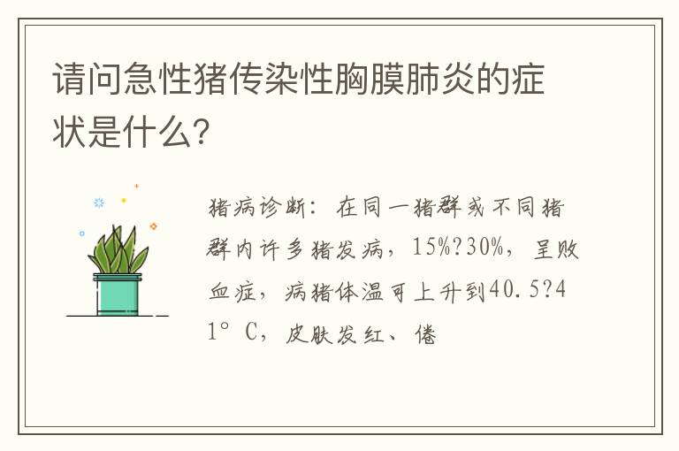 请问急性猪传染性胸膜肺炎的症状是什么？