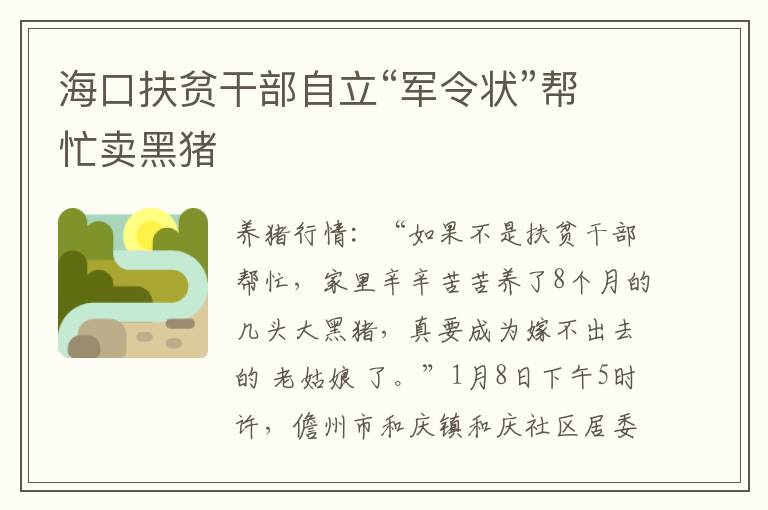海口扶贫干部自立“军令状”帮忙卖黑猪