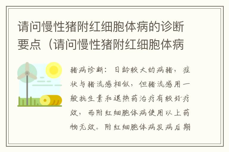 请问慢性猪附红细胞体病的诊断要点（请问慢性猪附红细胞体病的诊断要点是什么）