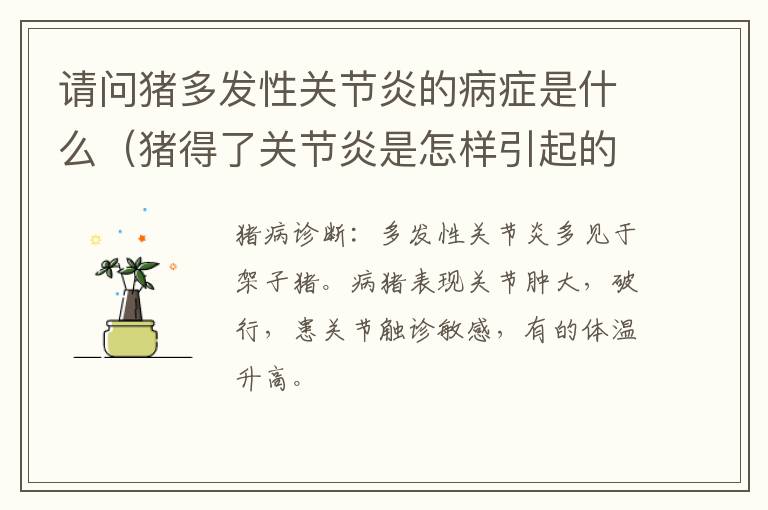 请问猪多发性关节炎的病症是什么（猪得了关节炎是怎样引起的）