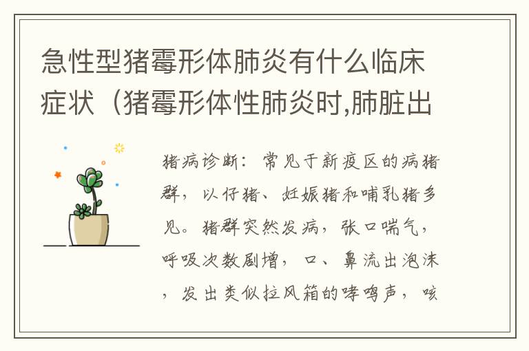 急性型猪霉形体肺炎有什么临床症状（猪霉形体性肺炎时,肺脏出现哪种病变）