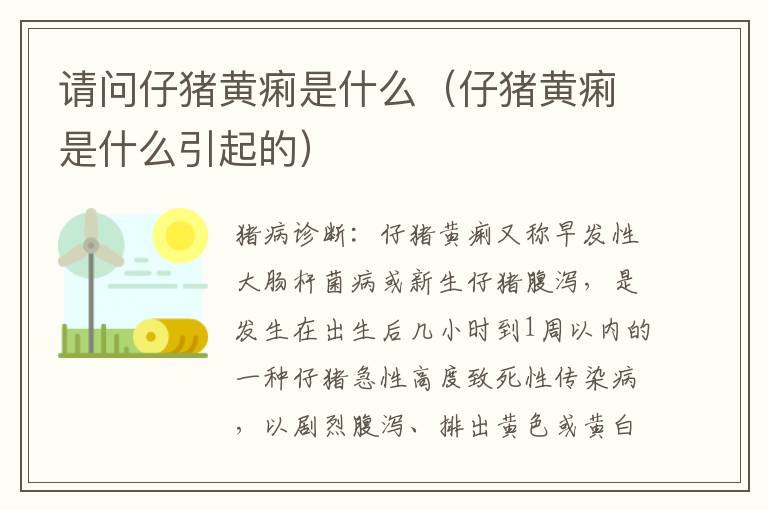 请问仔猪黄痢是什么（仔猪黄痢是什么引起的）