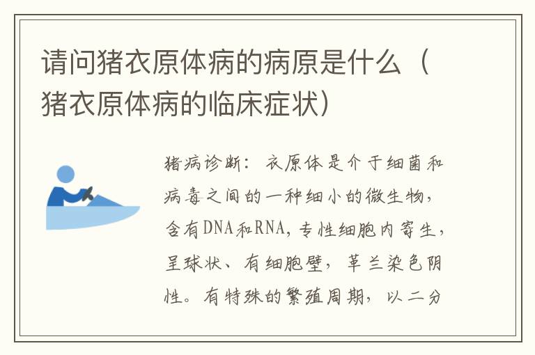 请问猪衣原体病的病原是什么（猪衣原体病的临床症状）